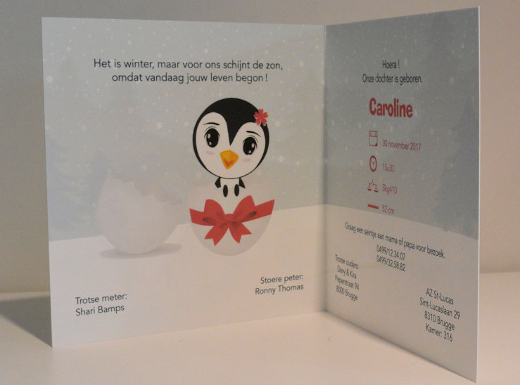Drukkers van geboortekaartjes Sint-Michiels | Bm concepts